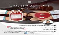  وبینار کشوری هموویژلانس ( مراقبت از خون ) 