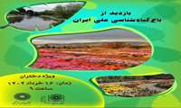 اردوی طبیعتگردی ویژه خواهران در باغ گیاهشناسی برگزار شد.