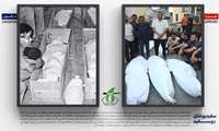 الف دزفول...اینجا دزفول است غزه ی دیروز و غزه ی امروز دزفول دیروز است...دو جغرافیا و یک مقاومت